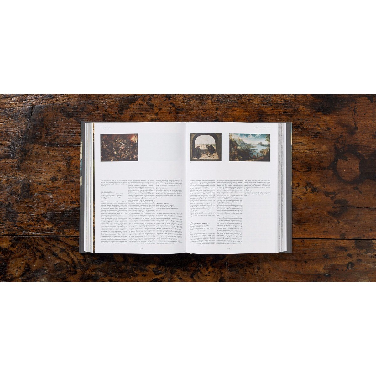 Bruegel. The Complete Works (Capa dura) 13