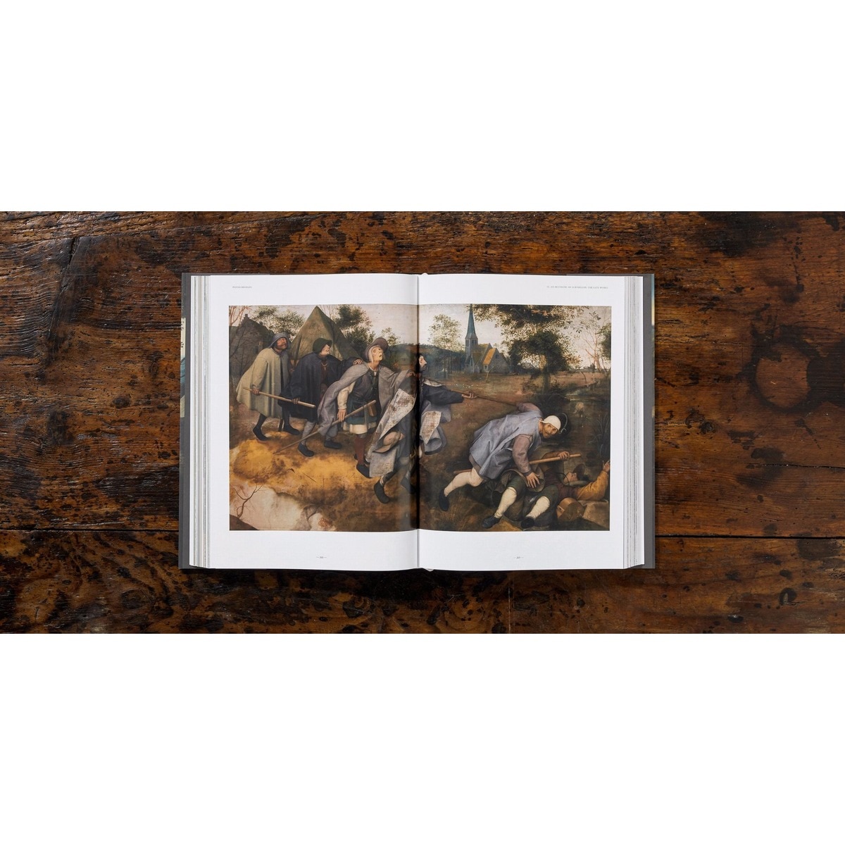 Bruegel. The Complete Works (Capa dura) 19