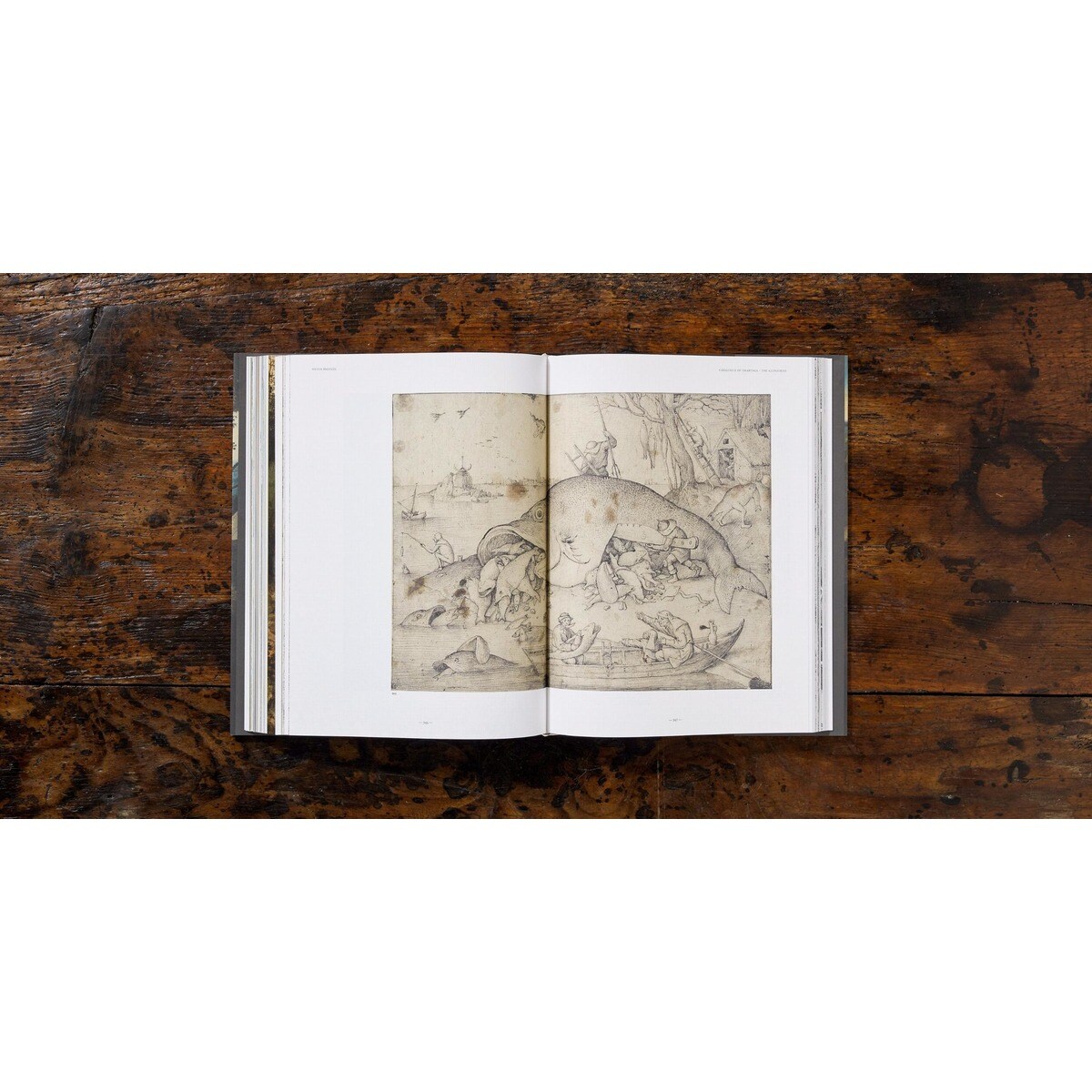 Bruegel. The Complete Works (Capa dura) 20
