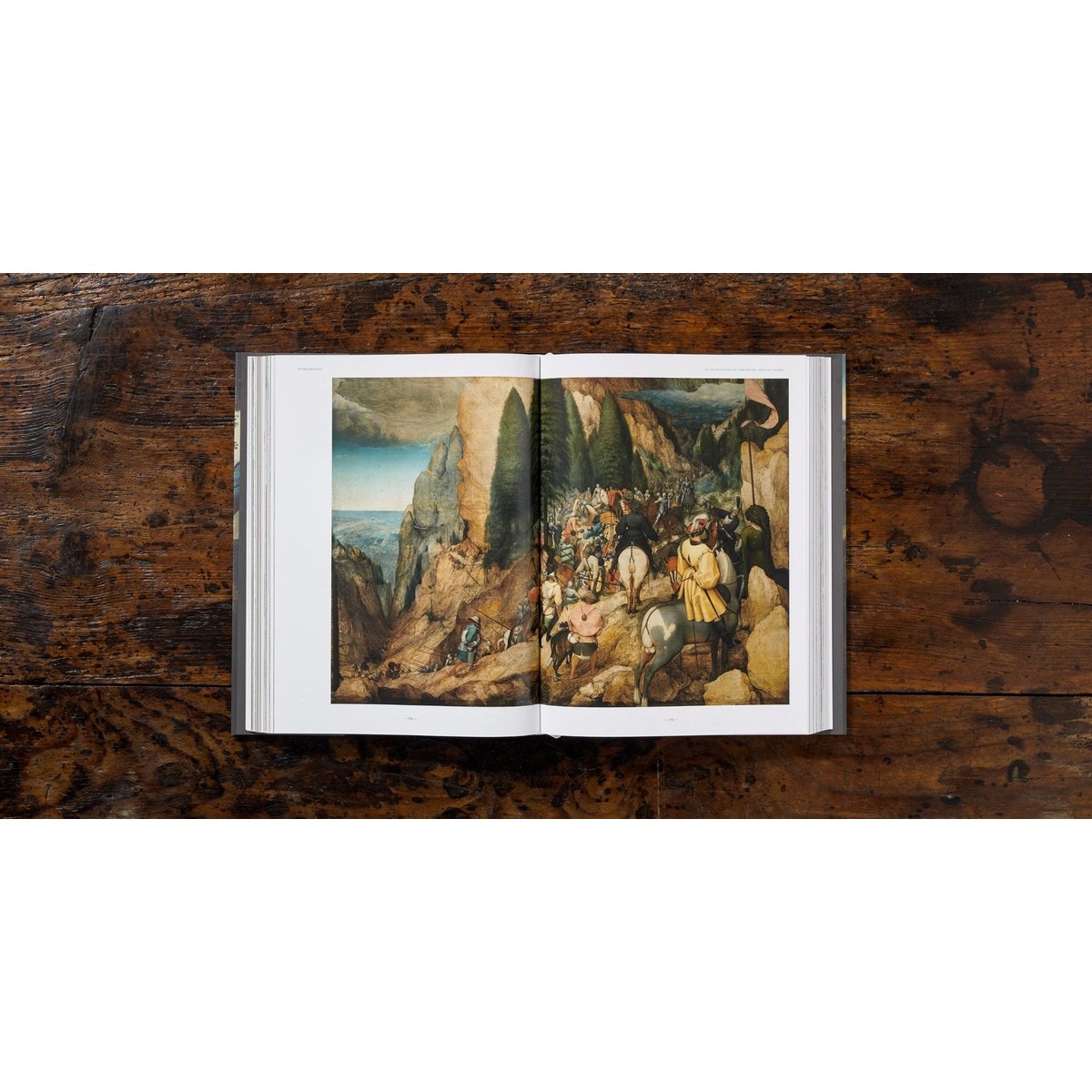 Bruegel. The Complete Works (Capa dura) 22
