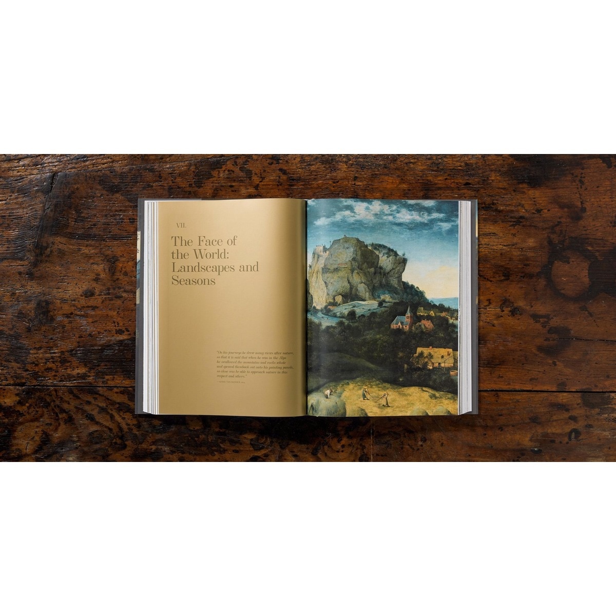 Bruegel. The Complete Works (Capa dura) 9