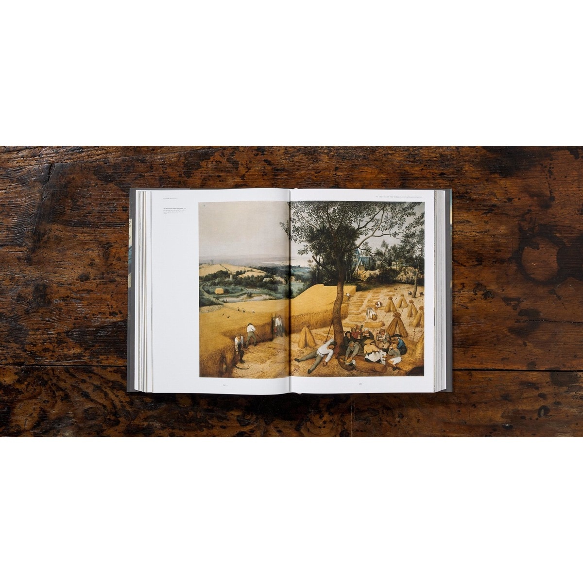 Bruegel. The Complete Works (Capa dura) 10