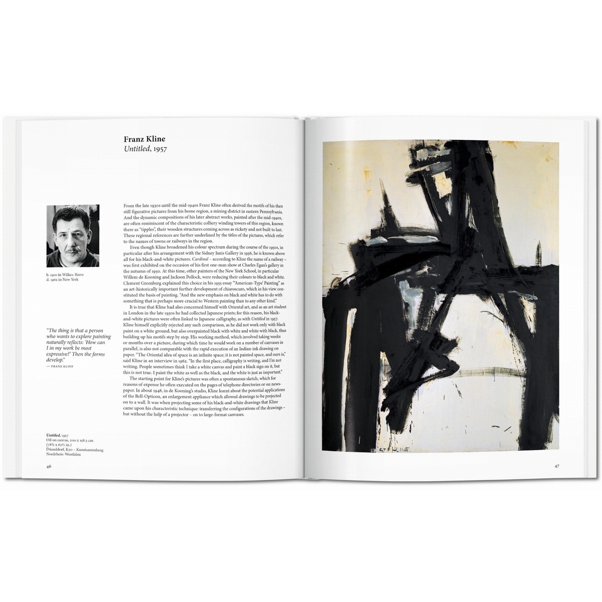 Abstract Expressionism (Capa dura) 2