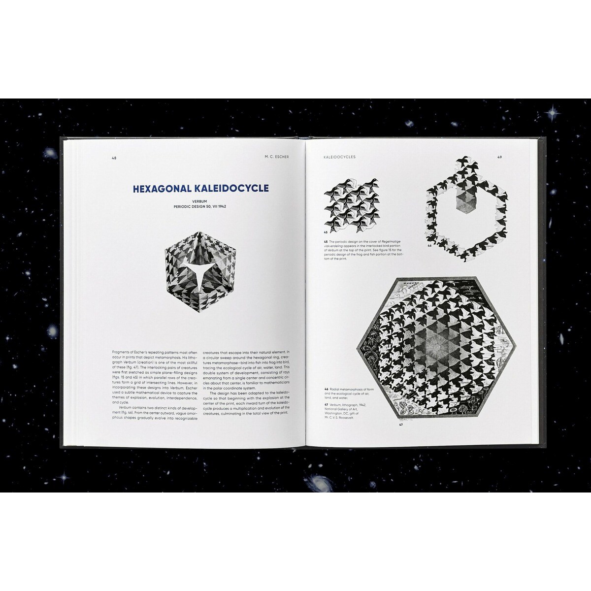 M.C. Escher. Caleidocicli 16