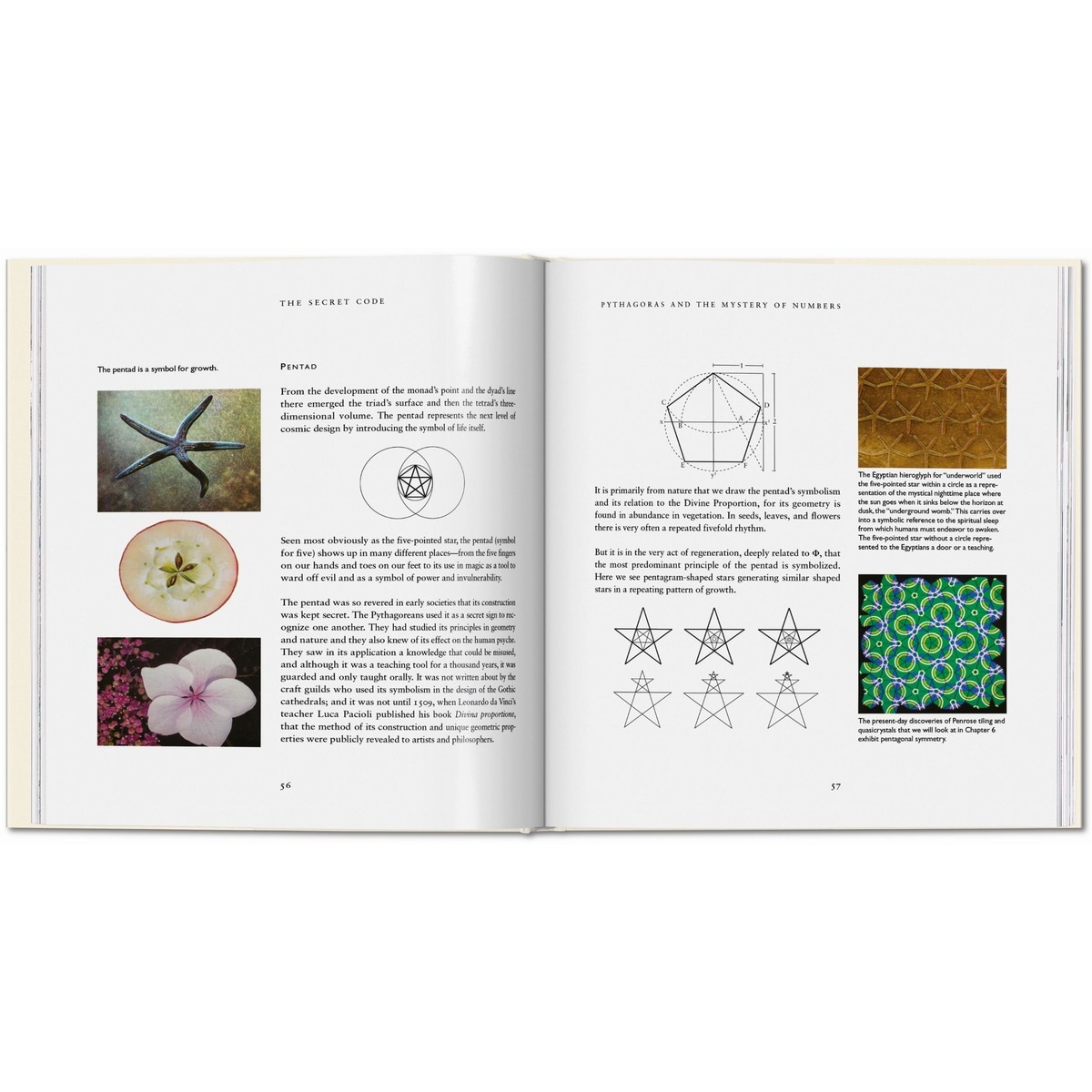 The Secret Code (Capa dura) 2