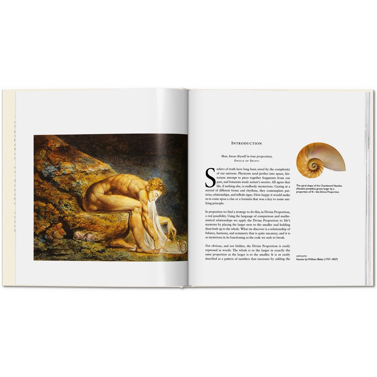 The Secret Code (Capa dura) 4