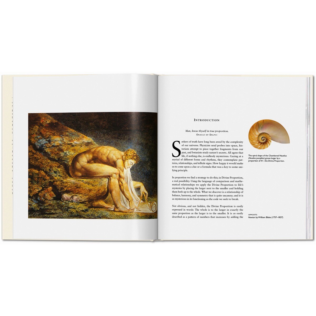 O código secreto (Capa dura) 4