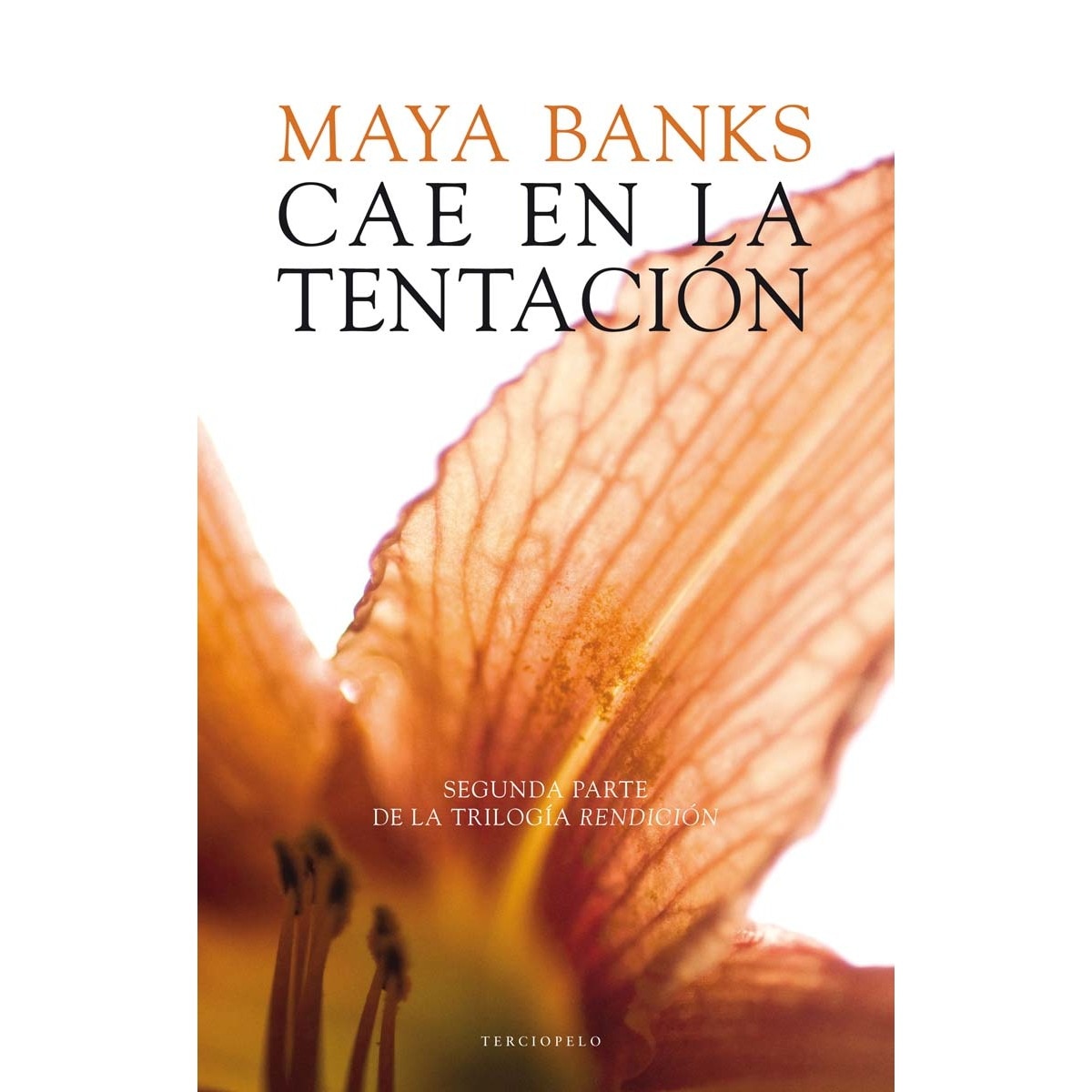 Imagem 0 de Cae en la tentación (Rendición 2) (Capa mole)