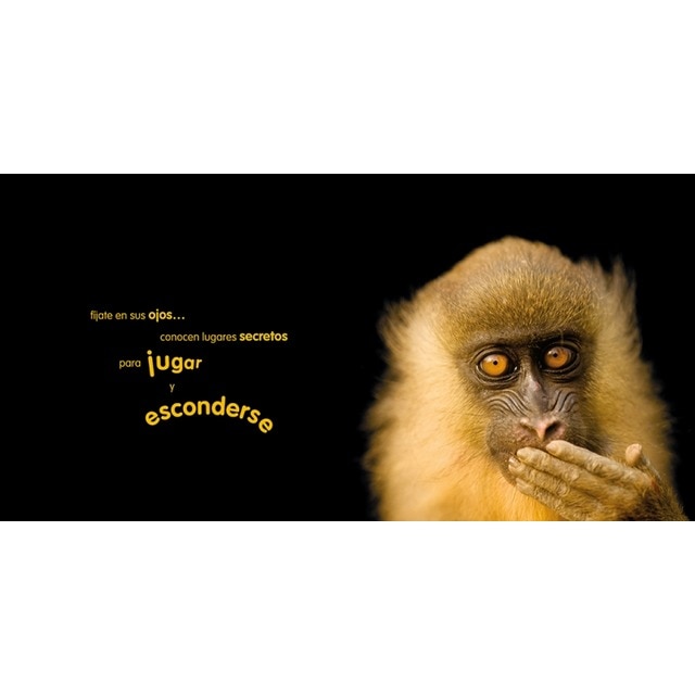 Animaladas: Un retrato de lo salvaje (Capa dura) 3