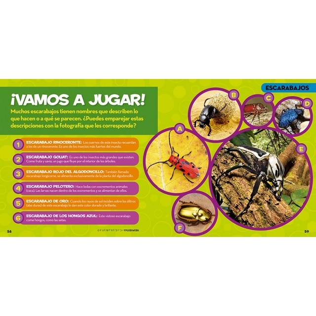 Mi primer gran libro de bichos(Tapa dura) 4