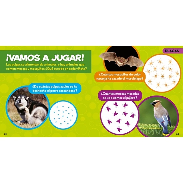 Mi primer gran libro de bichos(Tapa dura) 5