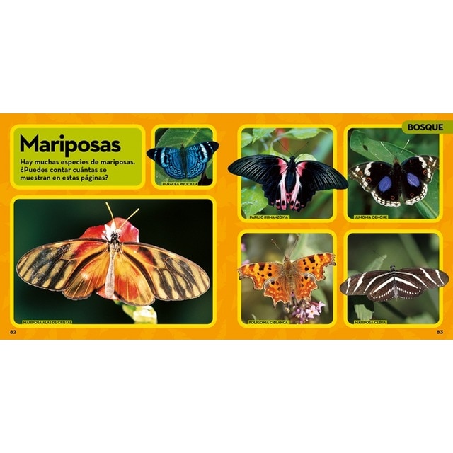 Mi primer gran libro de los animales(Tapa dura) 6