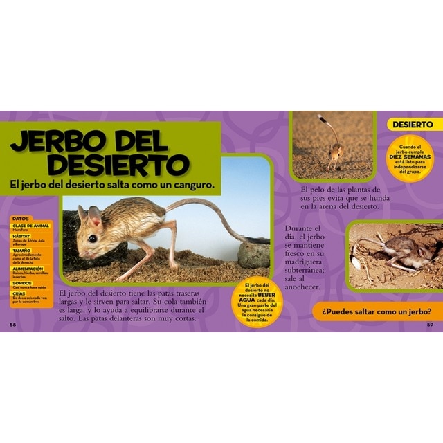 Mi primer gran libro de los animales(Tapa dura) 3