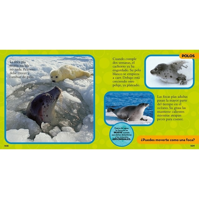 Mi primer gran libro de los animales(Tapa dura) 5