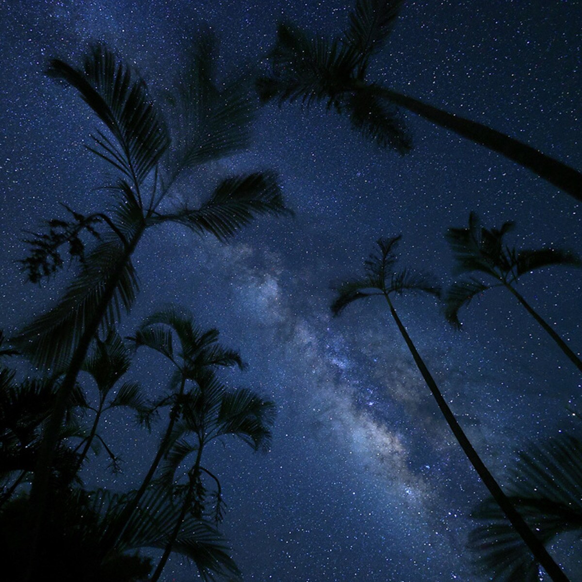 Objetivo Canon RF 16mm F/2.8 STM para Canon EOS R Negro-5