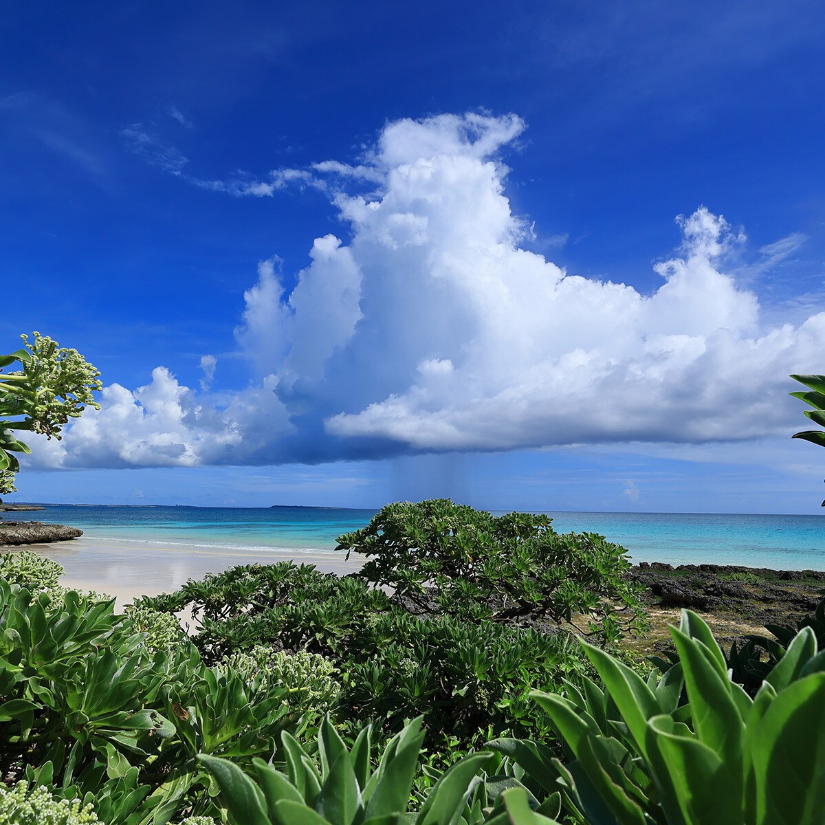 Objetiva CANON RF 16mm f/2.8 STM Preto-4