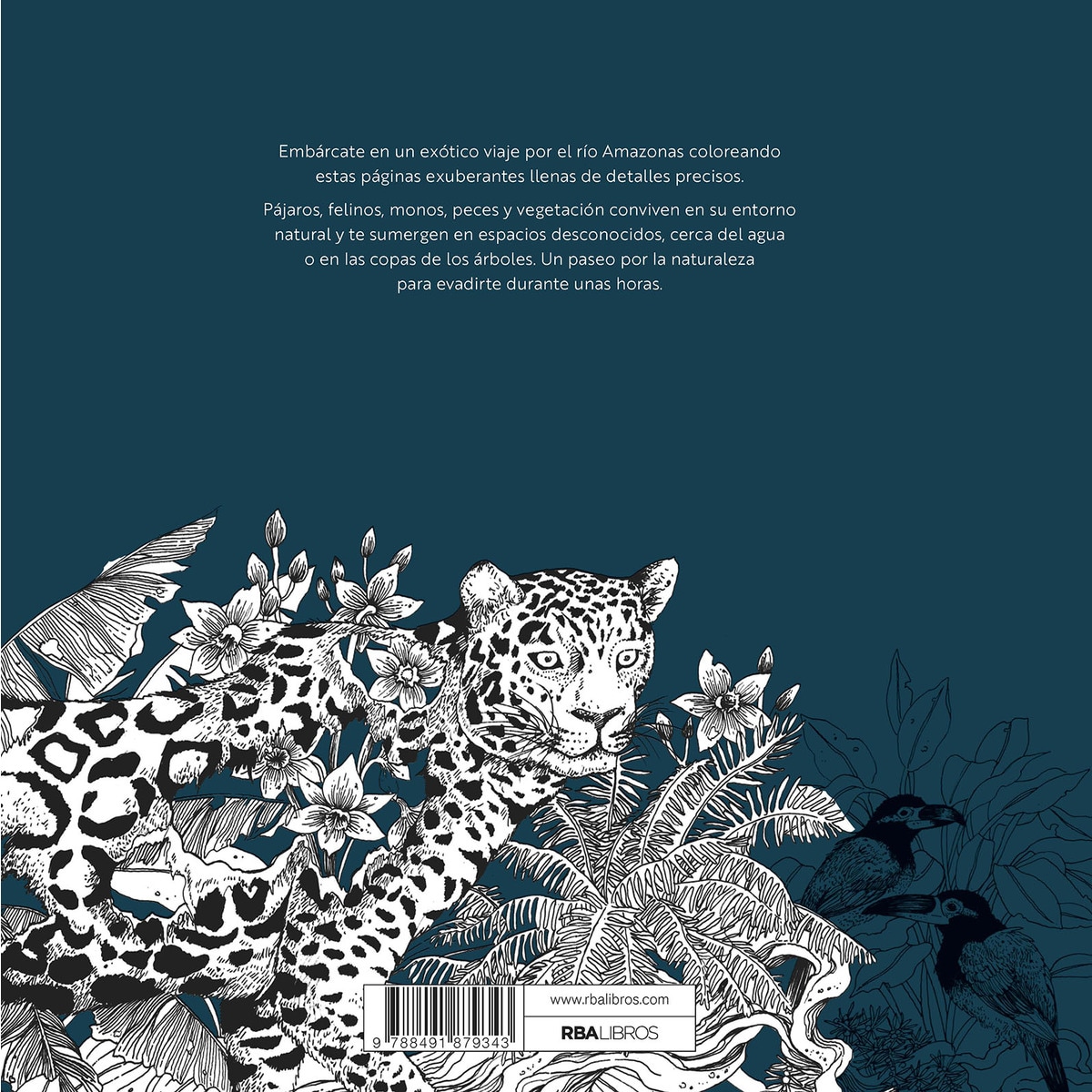 Amazonas. Escenas a lo largo del río.: Libro para colorear (Capa mole) 2