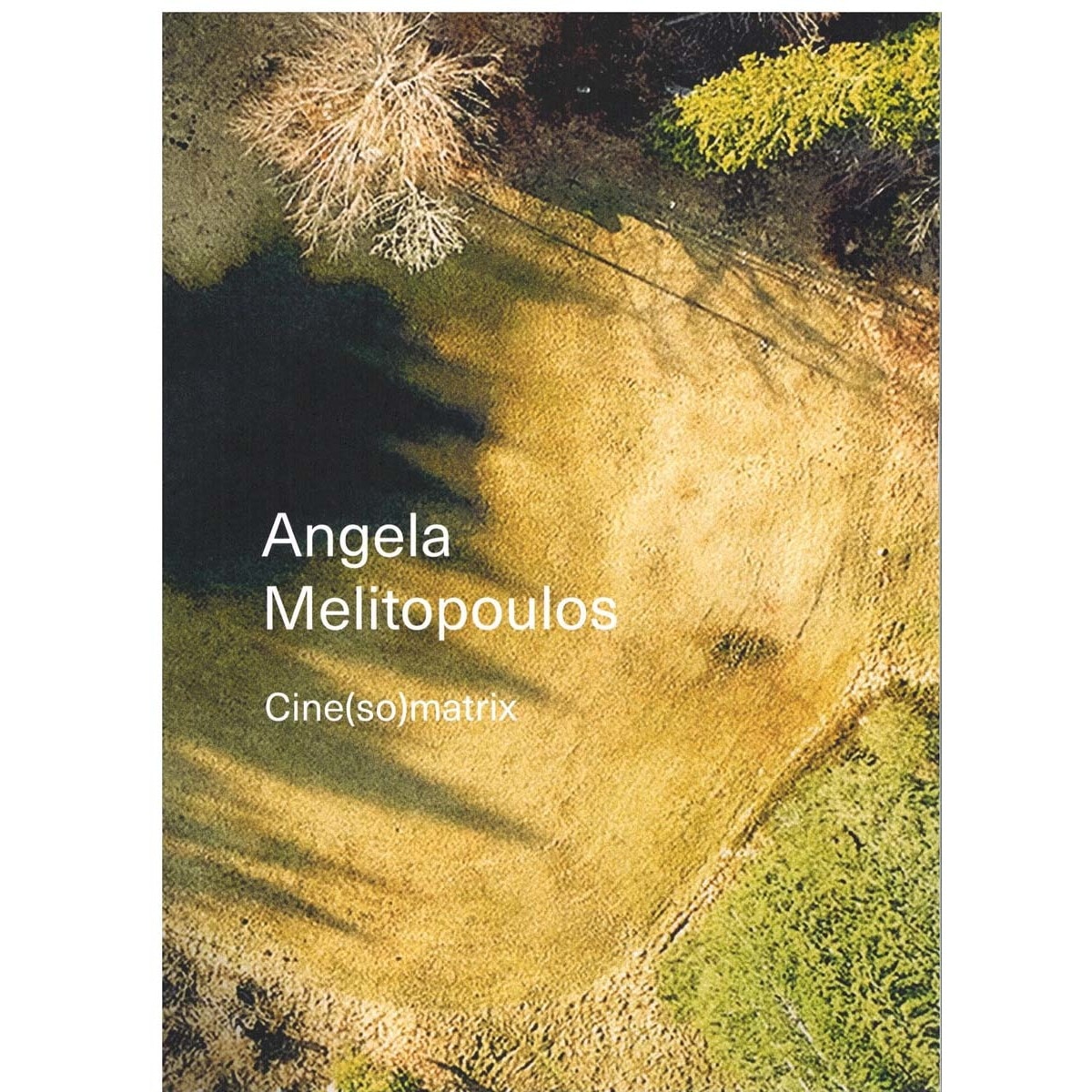 Angela Melitopoulos. Cine(so)matrix (Capa mole) 1