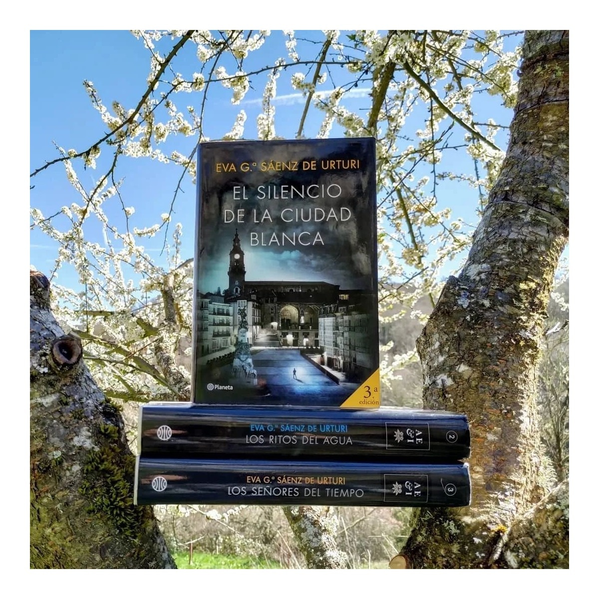 El silencio de la ciudad blanca: Trilogia de la Ciudad Blanca 1 (Tapa dura) 2