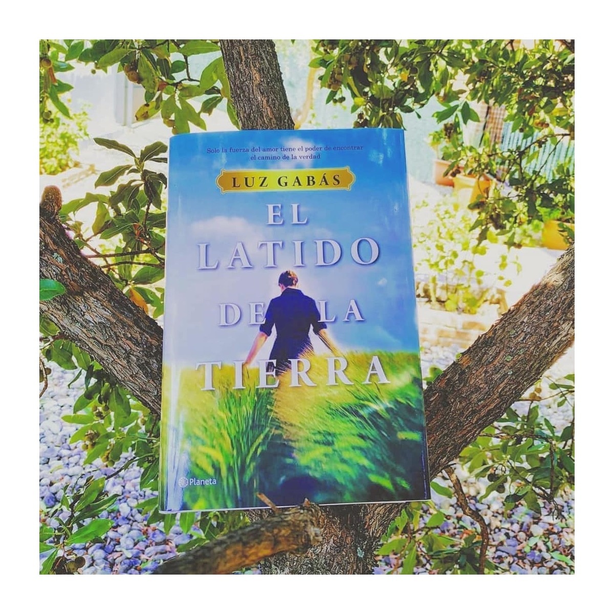 El latido de la tierra (Tapa dura) 5
