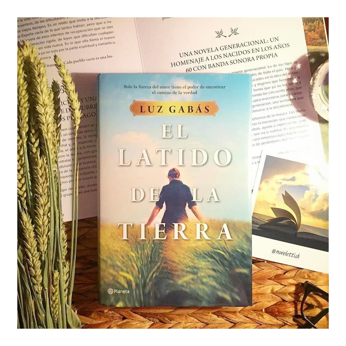 El latido de la tierra (Bolsillo) (Tapa blanda) 4