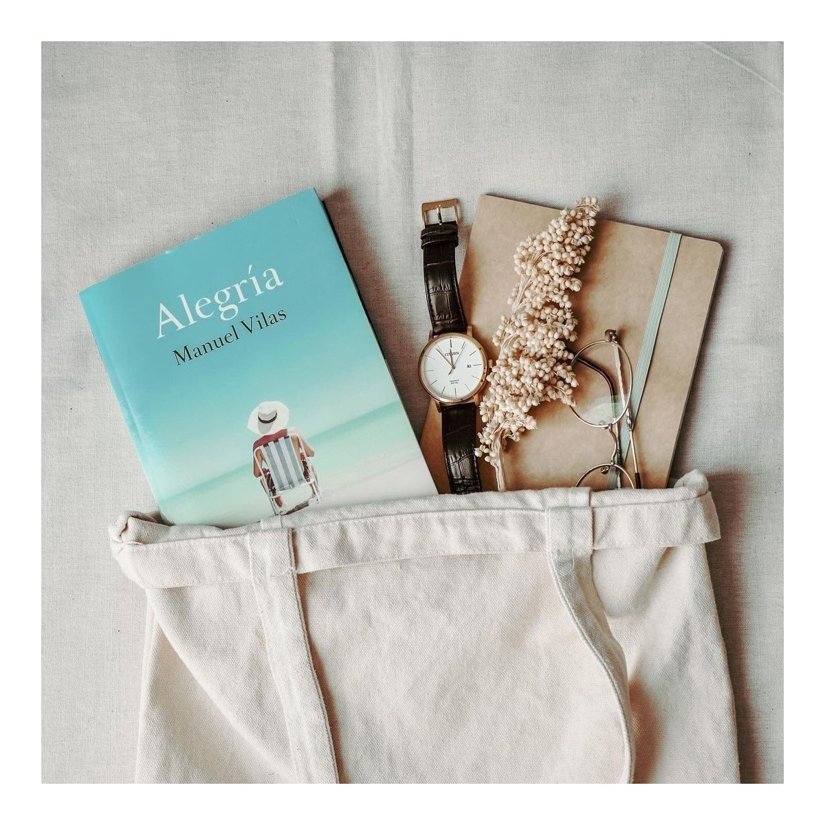 Alegría: Finalista Premio Planeta 2019  (Bolsillo) (Tapa blanda) 2