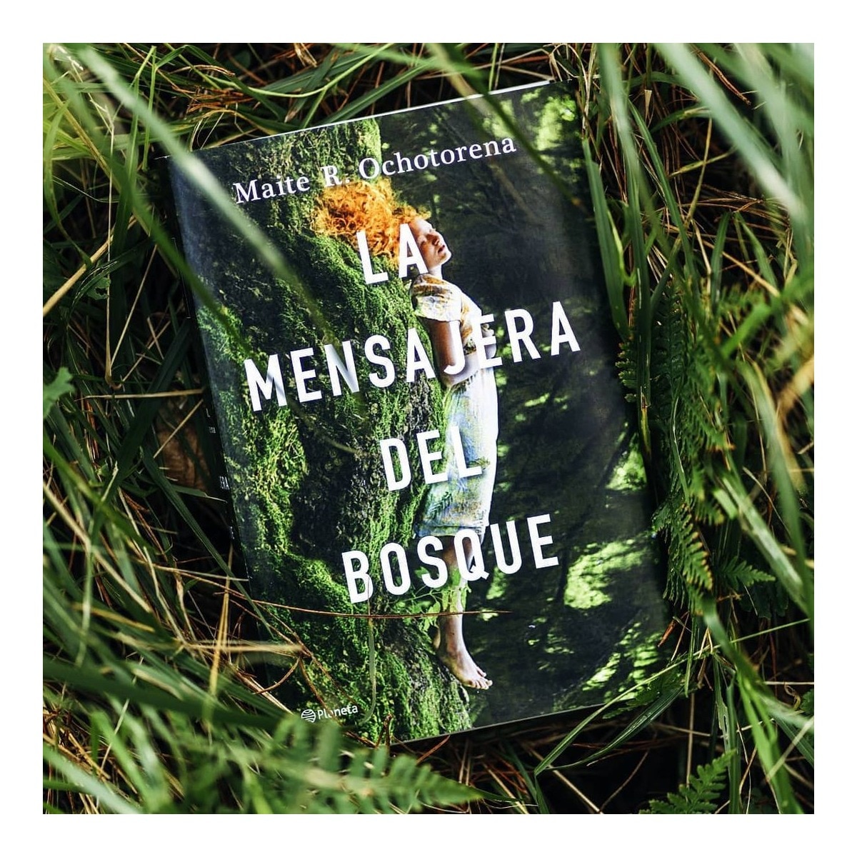 La mensajera del bosque  (Bolsillo Tapa blanda) 2