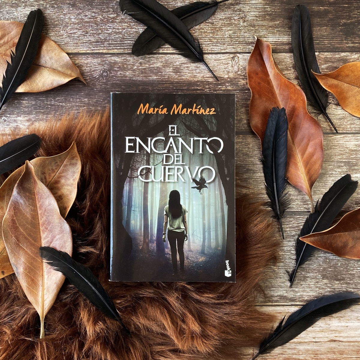 El encanto del cuervo  (Bolsillo) 2