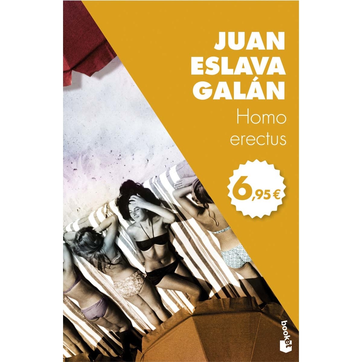 Homo erectus (Bolsillo) (Tapa blanda) 1