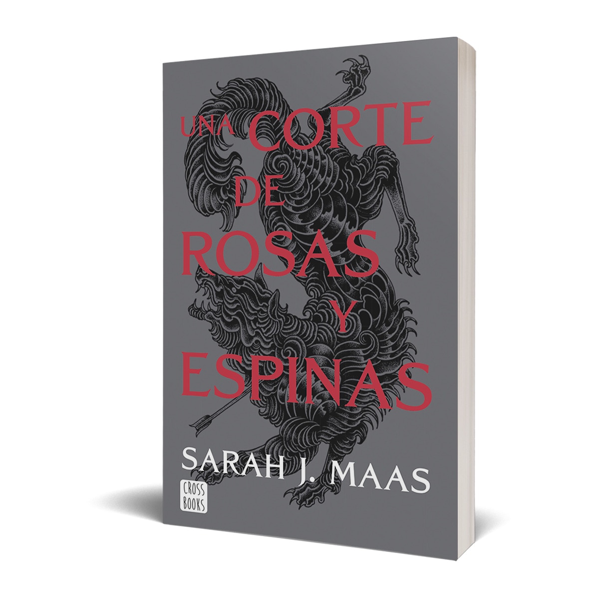Una corte de rosas y espinas: Una corte de rosas y espinas 1 (Tapa blanda) 2