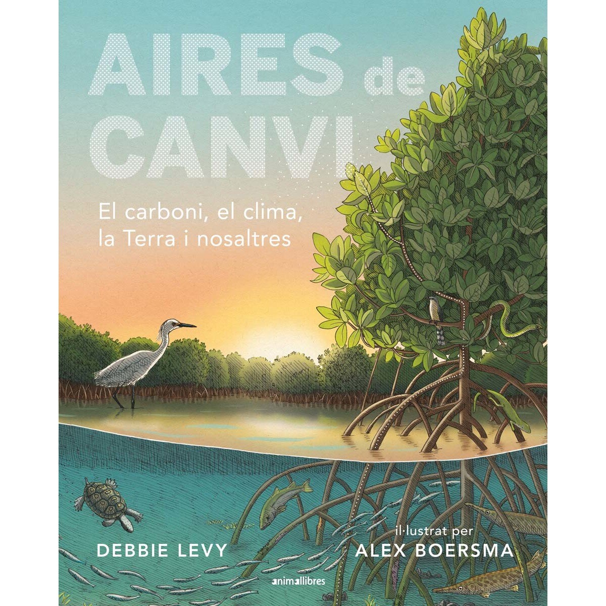 Aires de canvi 1