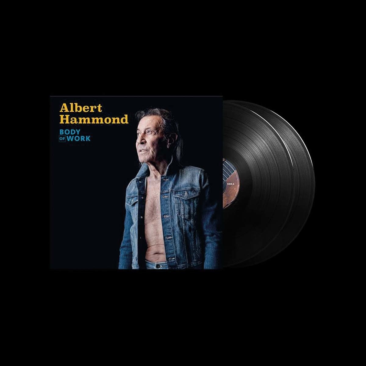 Body of Work (2 LP-Vinilo) 1