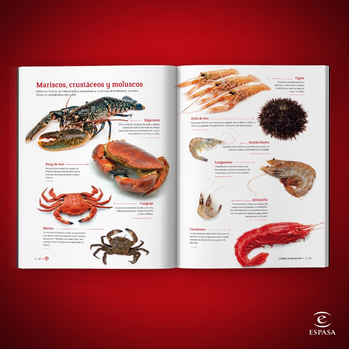 La Biblia de MasterChef (Capa dura) 2