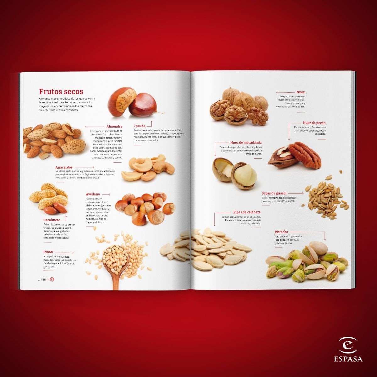 La Biblia de MasterChef (Capa dura) 4