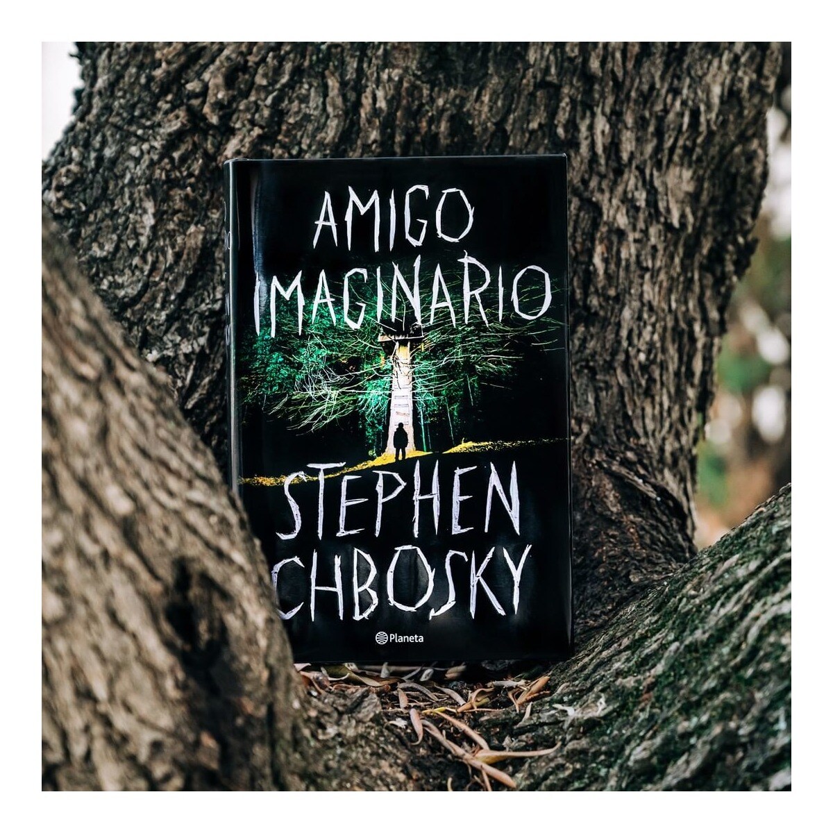 Amigo imaginario(Tapa dura) 2