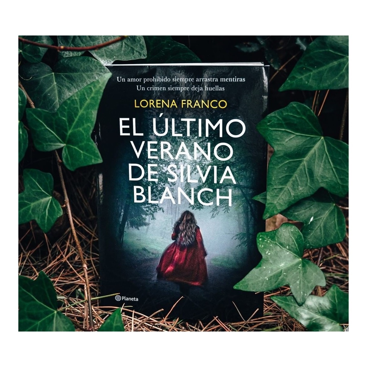 El último verano de Silvia Blanch (Capa mole com abas) 2