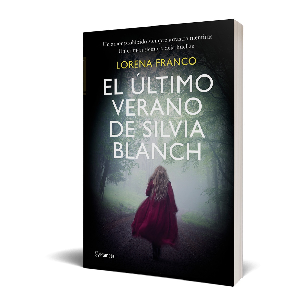 El último verano de Silvia Blanch (Capa mole com abas) 3