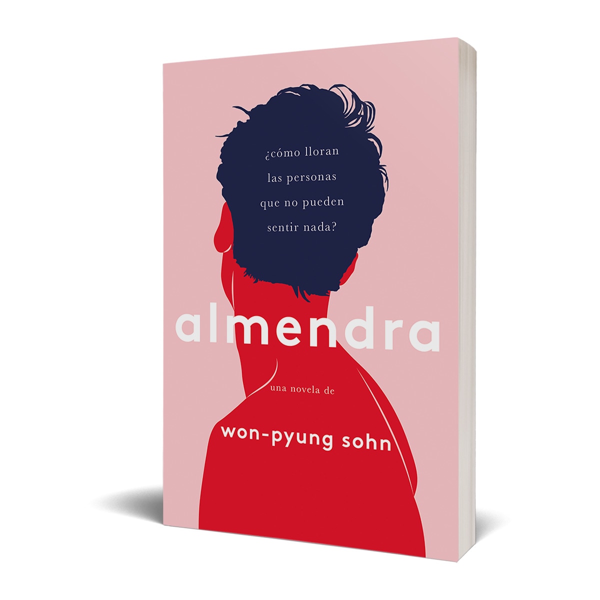 Almendra  (Tapa blanda con sobrecubierta) 2