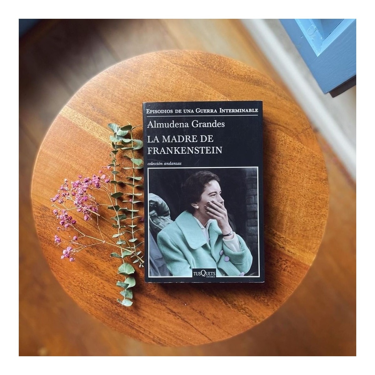 La madre de Frankenstein (Bolso) (Capa mole) 2