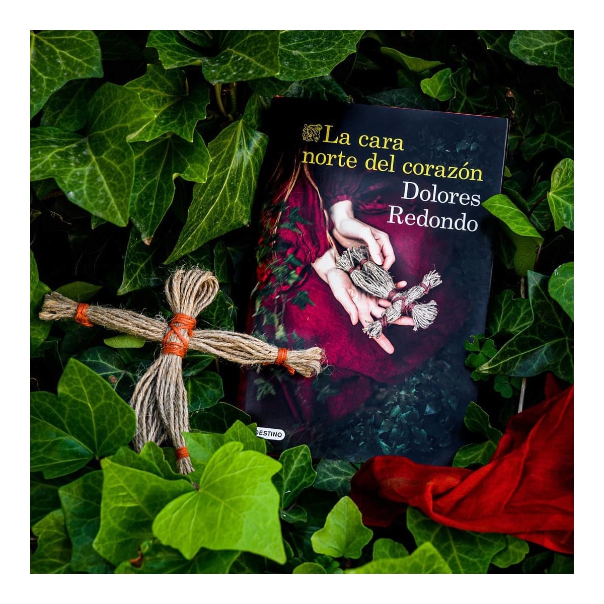 La cara norte del corazón (Bolso) 3