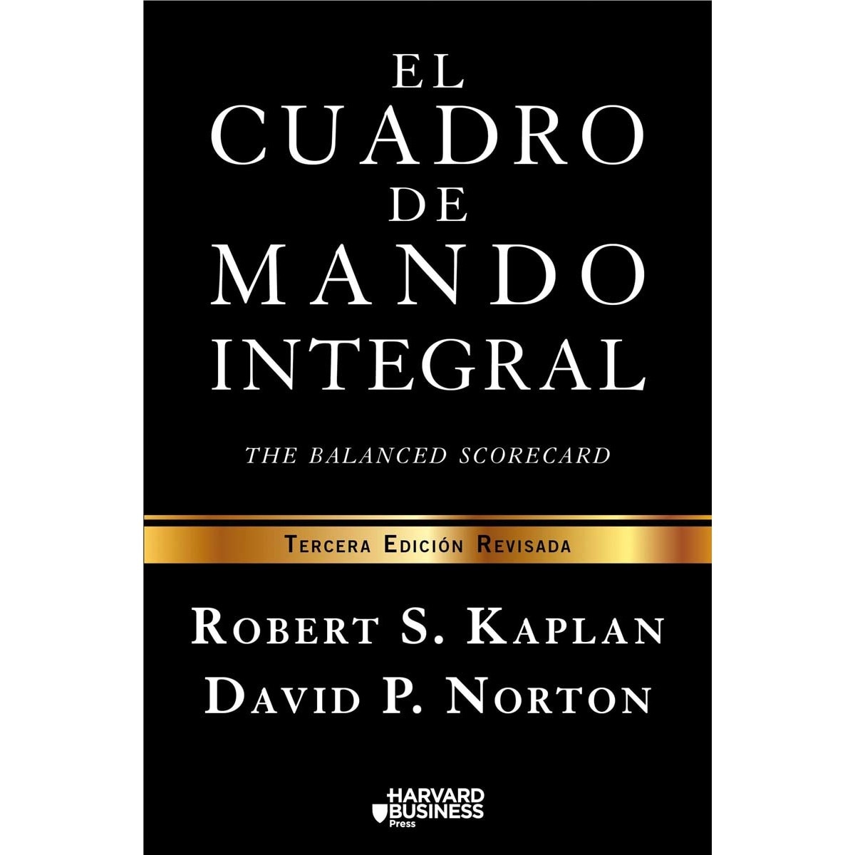 El cuadro de mando integral: The balanced scorecard (Capa mole com abas) 1