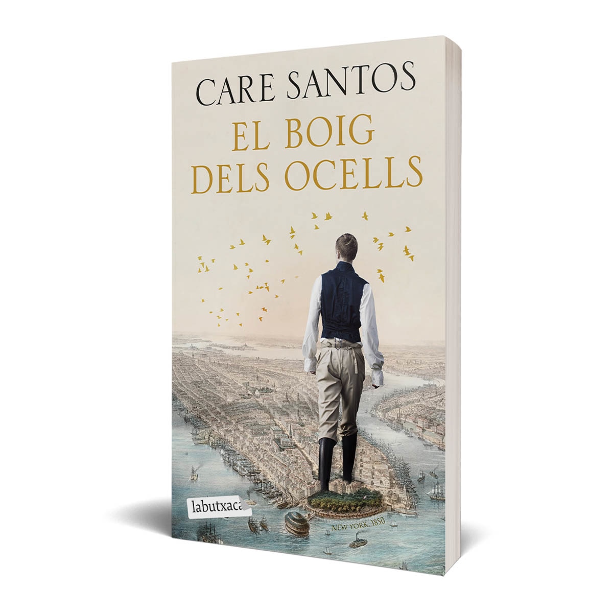 El boig dels ocells (Bolso) 2