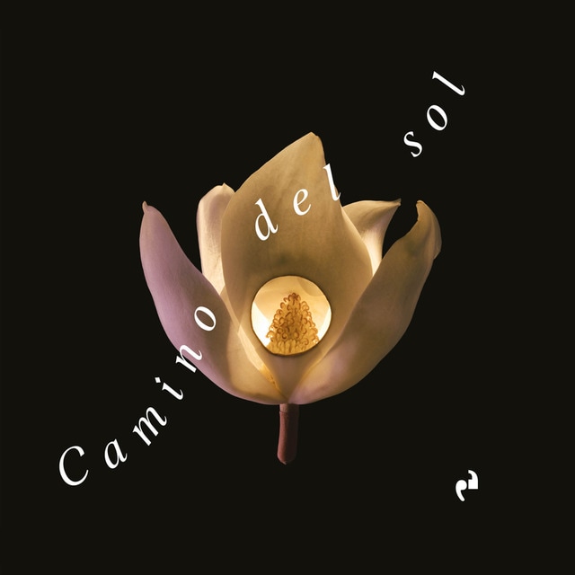 CAMINO DEL SOL 1