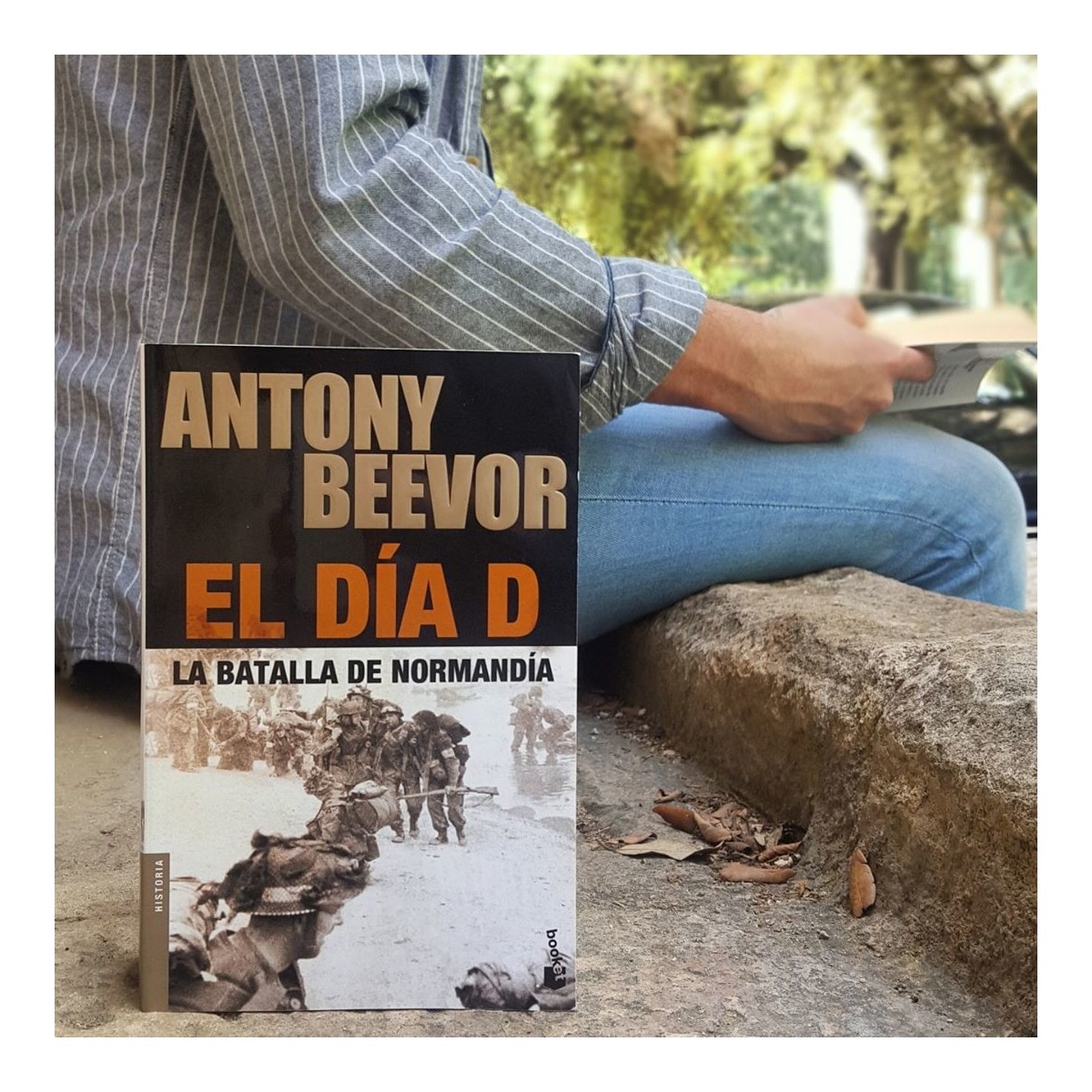 El Día D: La batalla de Normandía (Capa mole com abas) 2