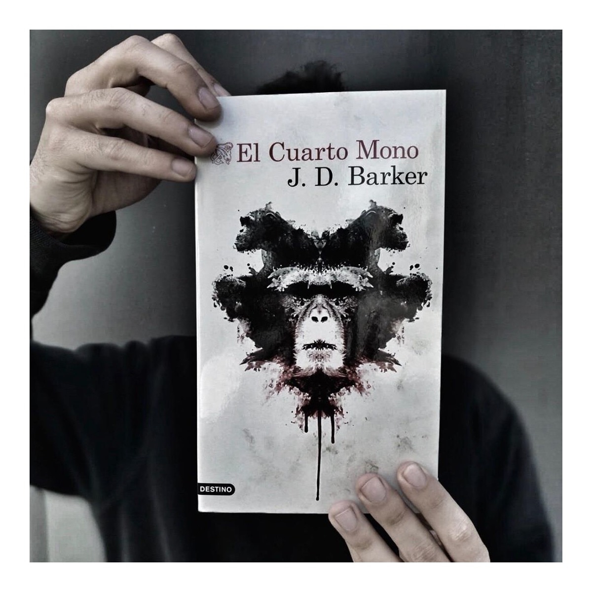 El Cuarto Mono (Capa mole com abas) 2
