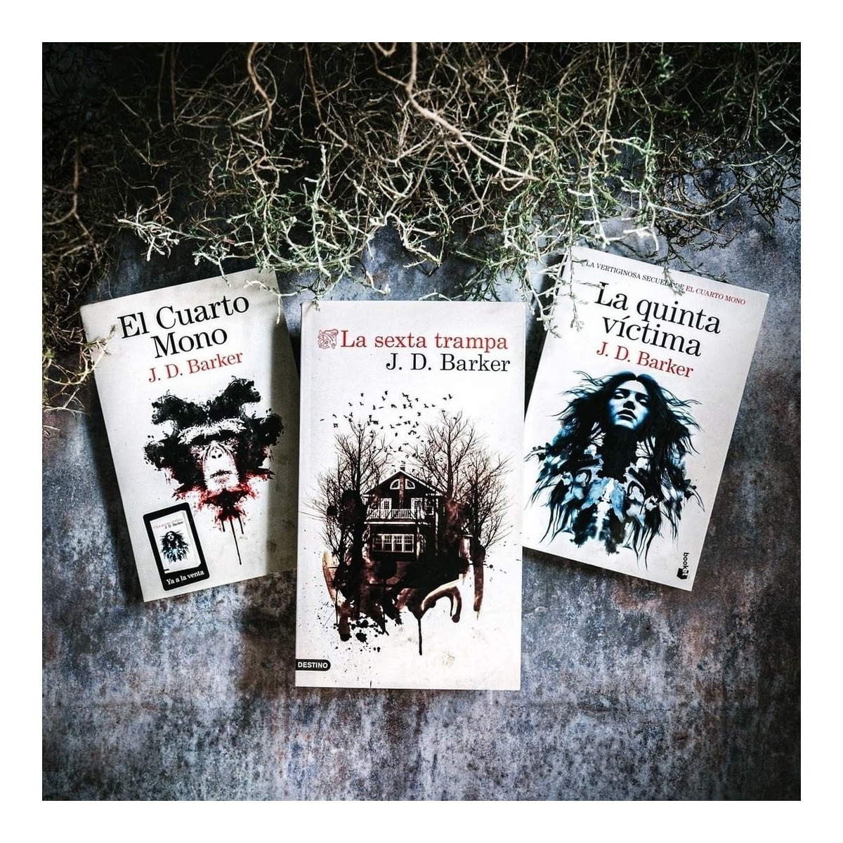 El Cuarto Mono (Capa mole com abas) 4
