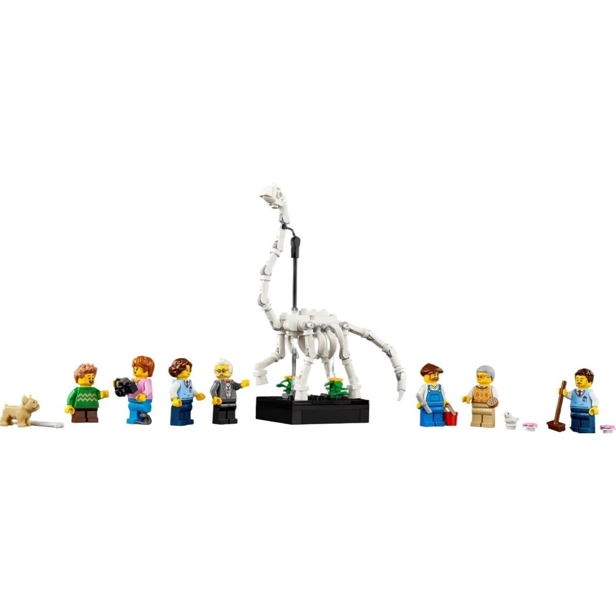 Museu de História Natural Lego Icons 6