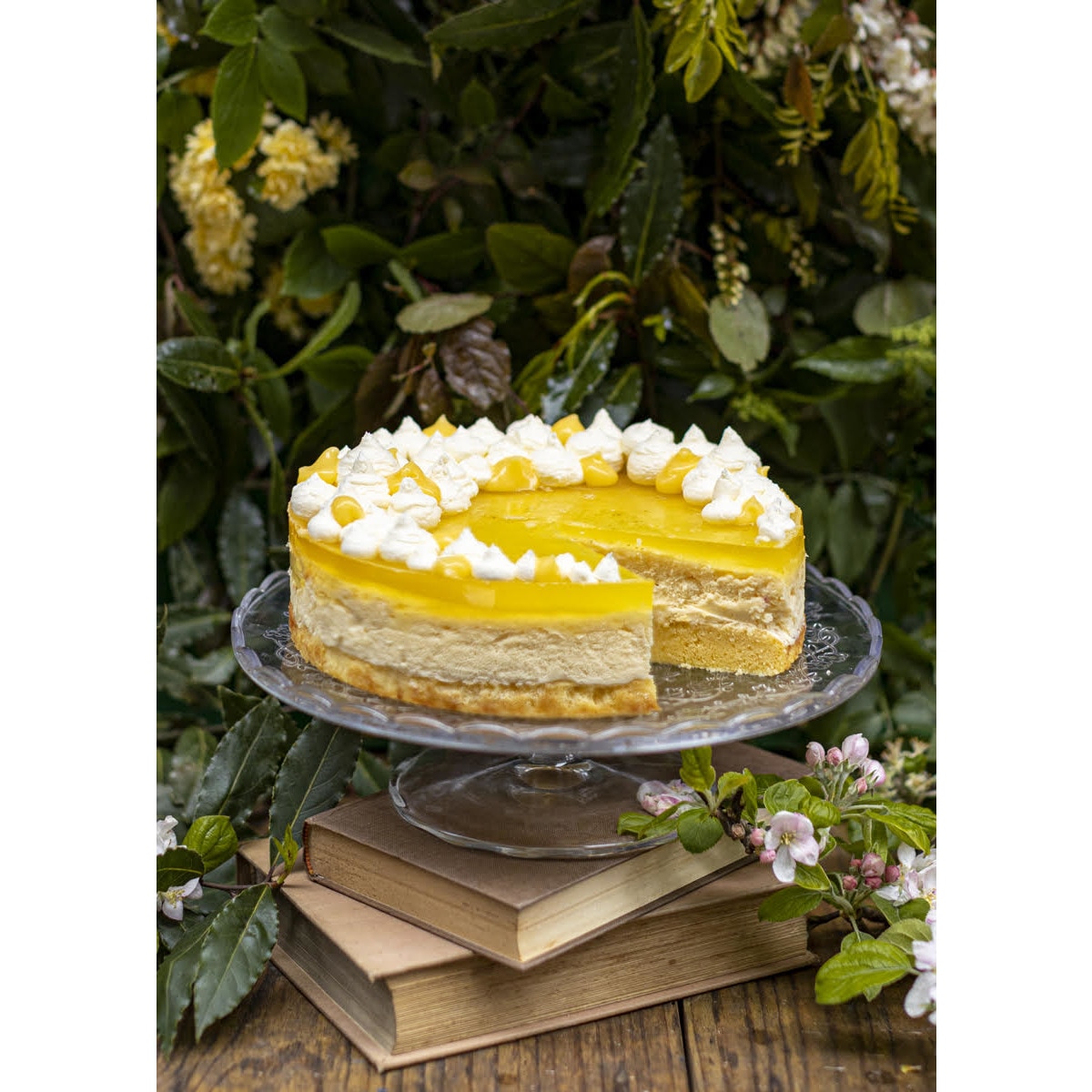 Cheesecakes. Aliter Dulcia (Capa dura) 2