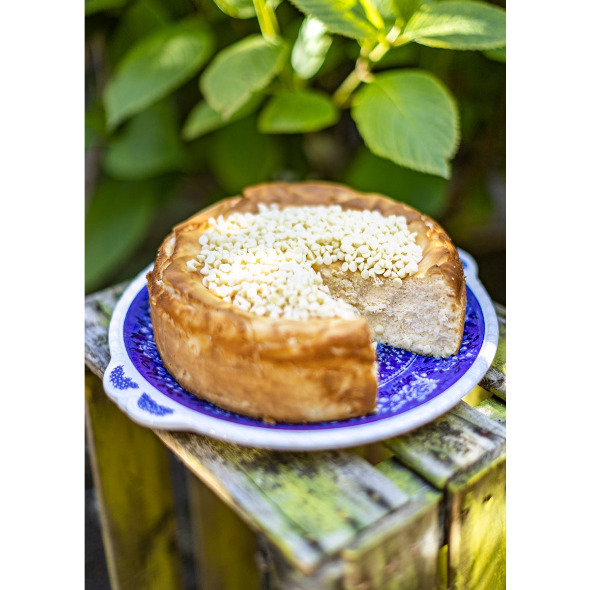 Cheesecakes. Aliter Dulcia (Capa dura) 7