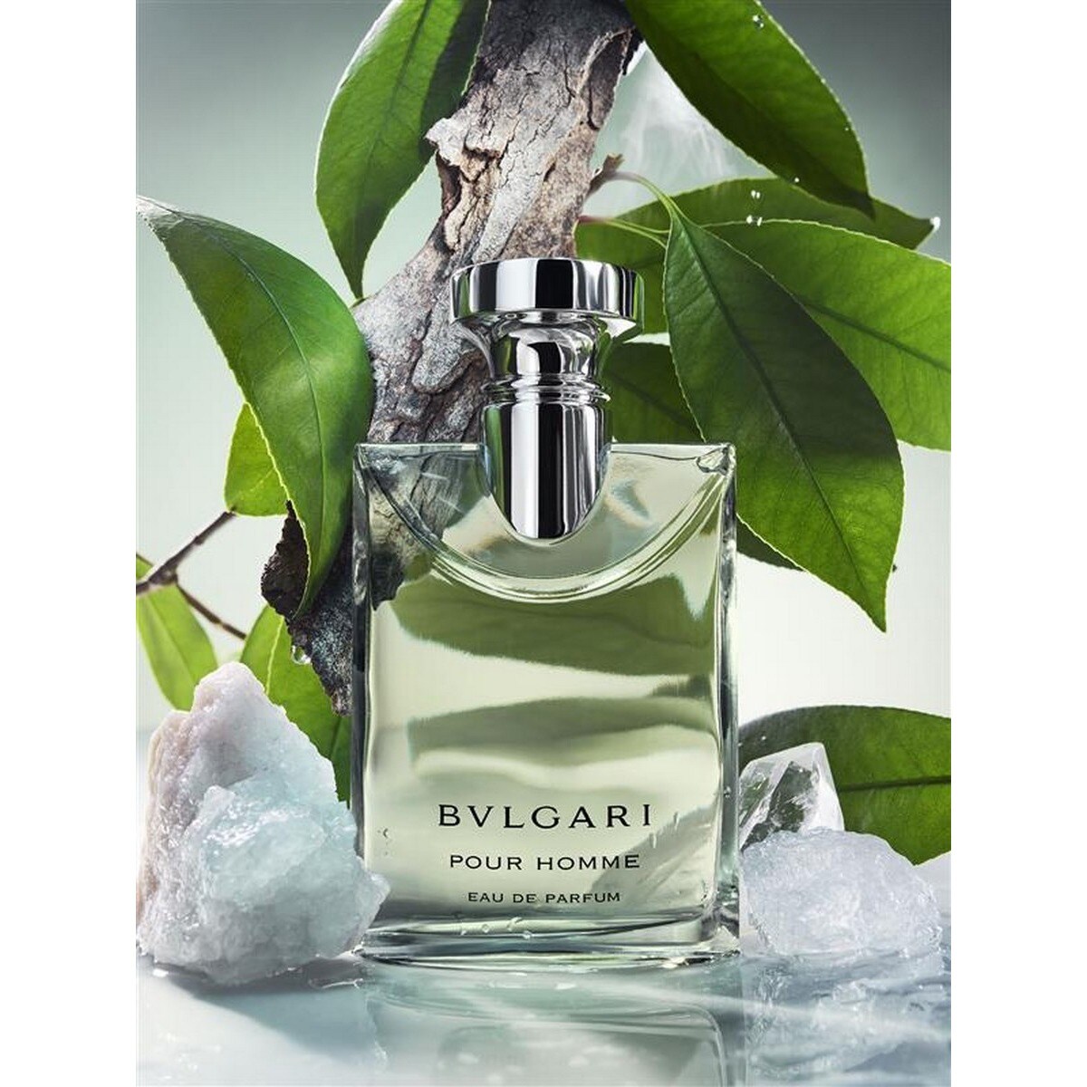Pour Homme Eau de Parfum - 50 ml 4